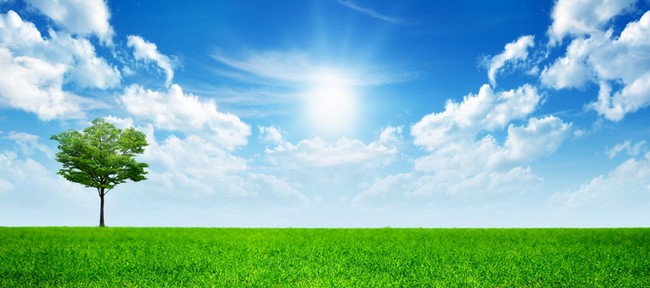 �������炸
�ɂ���